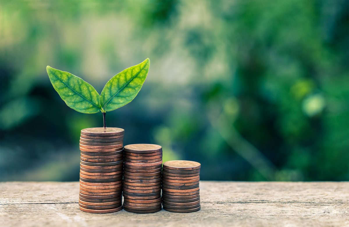 Belajar Green Finance, Buka Peluang di Dunia Keuangan Masa Depan